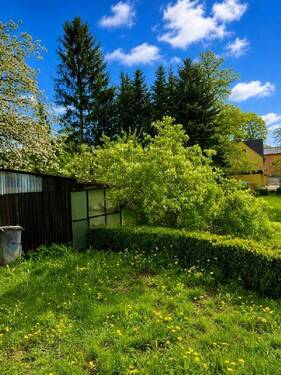 im Grünen - 