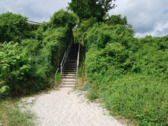 Der Weg zum Strand - 