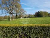 Ausblick - 