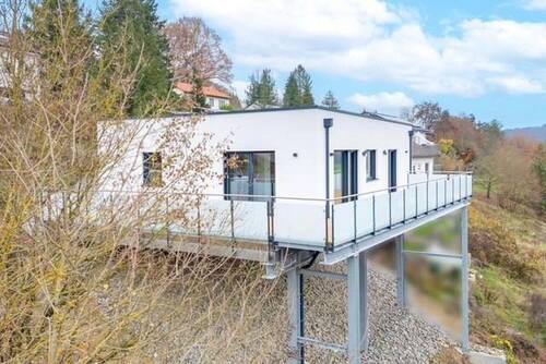 Hangseite von Westen - 3 Zimmer Bungalow zum Kaufen in Roigheim