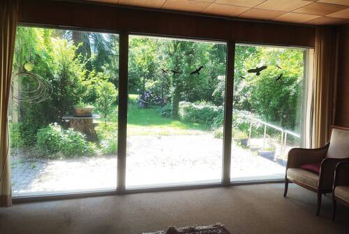 Anbau - gr. Terrassenfenster - 