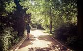 Umgebung Wilmersdorf - 