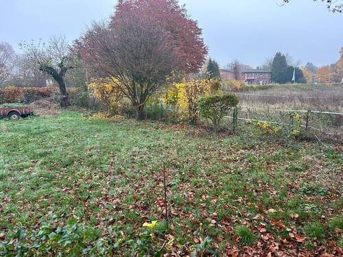 IMG-20251112-WA0008.jpg - 