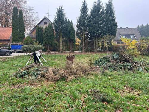 IMG-20251112-WA0009.jpg - 