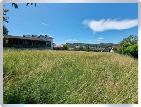 Derzeit Wiese - Grundstück in Geisenheim