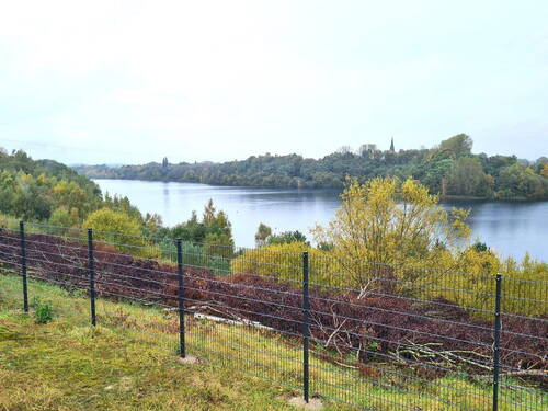 Blick vonTerrasse über den See - 