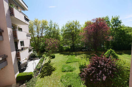 Bild5 - 