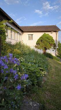 Bild 7 - 