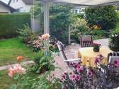 Blick in der Garten - 