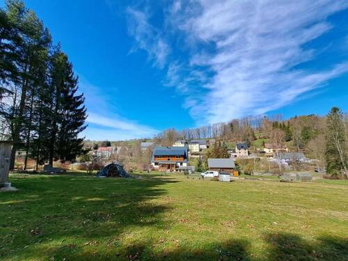 Blick vom Waldrand - 