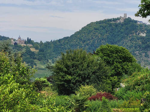 Bild2 - Grundstück zum Kaufen in Bonn