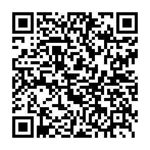 QR-Code - 
