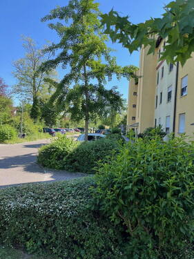 Vor dem Haus, Straßenseite - 3 Zimmer Etagenwohnung zum Kaufen in Mannheim