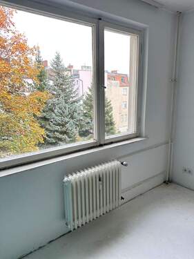 Fenster - 