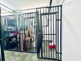IMG_4254 - 