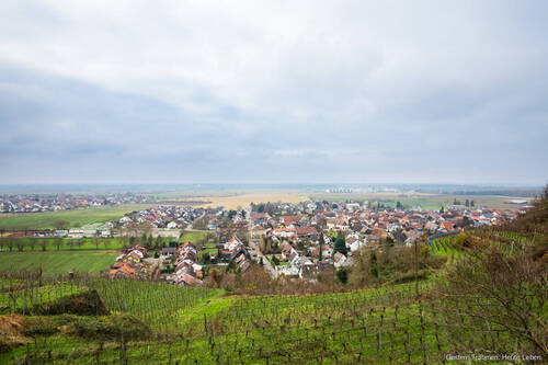 Niederrimsingen - 