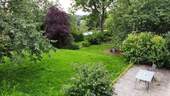 Gartenblick - 