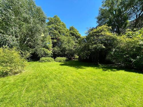 Garten hinten.jpg - 