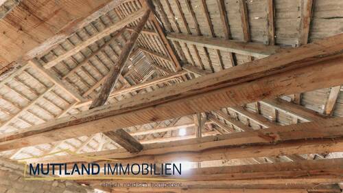 entkernter Zustand - 