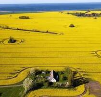 Ein Platz für Visionen: Entkerntes Bauernhaus in einzigartiger Alleinlage - Groß Kordshagen