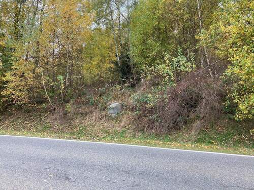 IMG_6272.JPG - 7 Zimmer Mehrfamilienhaus, Wohnhaus in Neukirchen beim Heiligen Blut