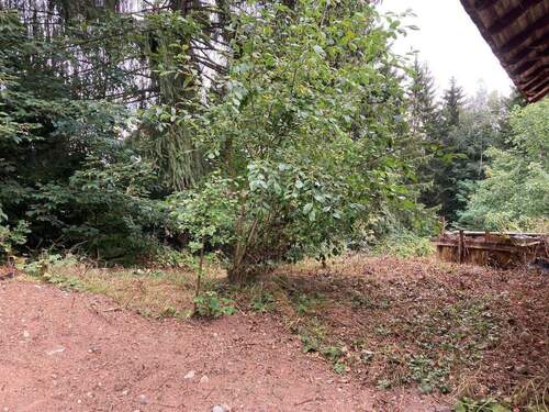 IMG_5822.JPG - Mehrfamilienhaus, Wohnhaus mit 140,00 m&sup2; in Neukirchen beim Heiligen Blut zum Kaufen