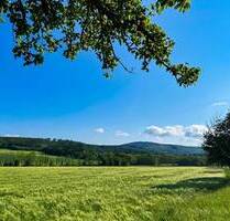 Drei Baukörper auf 100.000 m² Wald und Wiese - ein Paradies für Sie und Ihre Tiere! - Neustadt Berthelsdorf