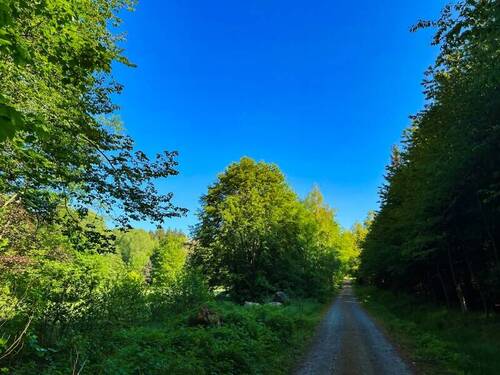 Am Grundstück angekommen - 5 Zimmer Bauernhaus, Landhaus zum Kaufen in Neustadt