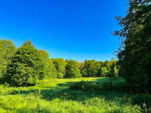 Ihre Wiese im Wald (1) - 5 Zimmer Bauernhaus, Landhaus in Neustadt