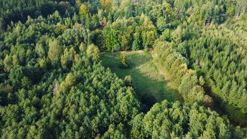 Ihre Wiese im Wald (2) - Bauernhaus, Landhaus mit 150,00 m&sup2; in Neustadt zum Kaufen