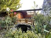 Gartenteich und Plfanzenparadies - 