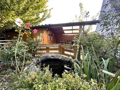 Gartenteich und Plfanzenparadies - 
