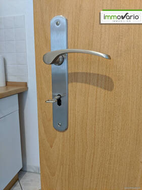 Detail Türdrücker - 