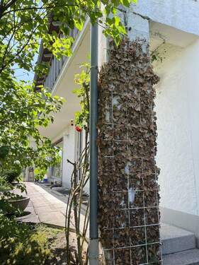 Bild 3 - 9 Zimmer Einfamilienhaus in Eningen u. A.