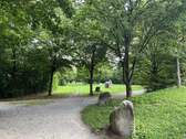 Bild 16 - 