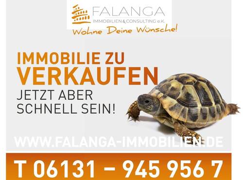 Schildy - 