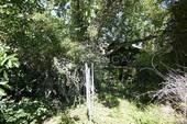 Wilder Garten - Einfamilienhaus mit 110,00 m² in Schwabenheim an der Selz zum Kaufen