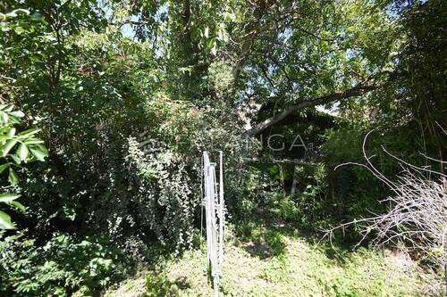Wilder Garten - Einfamilienhaus mit 110,00 m² in Schwabenheim an der Selz zum Kaufen