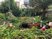 kleiner Garten - 