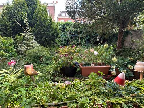 kleiner Garten - 