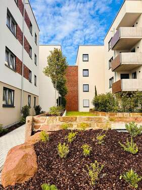 IMG_4525.jpg - 2 Zimmer Etagenwohnung in Willstätt