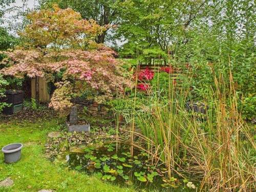 Gartenteich - 