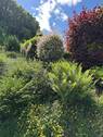 Gartenimpression - 