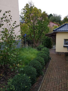 Kleiner Vorgarten - 