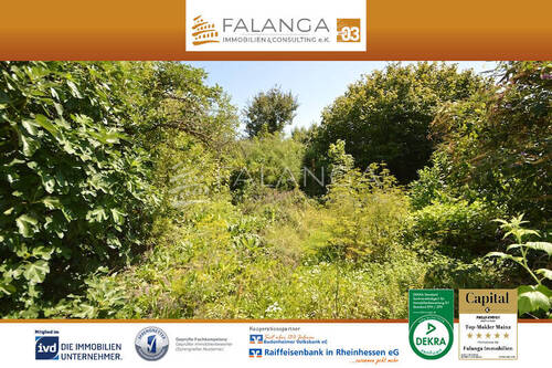 Ansicht Grundstück - Falanga Immobilien -EINZIGARTIG!!! Großzügiges und sonniges Baugrundstück im Herzen von SchwabenheimSelz!
