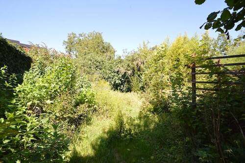 Wildes Grundstück - Grundstück zum Kaufen in Schwabenheim an der Selz