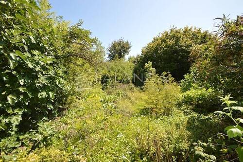 Wildes Grundstück - Grundstück in Schwabenheim an der Selz