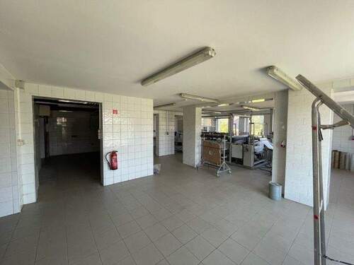 Produktion oder Lager im EG (3) - 