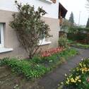 Garten vorne - 