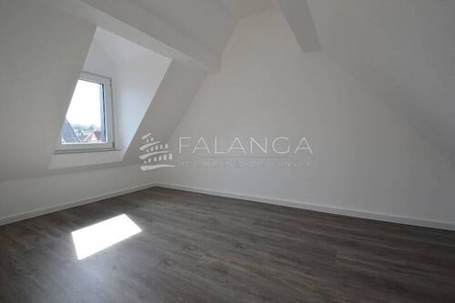 Dachstudio - 